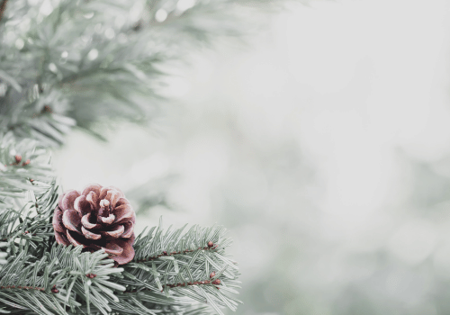 Openingstijden en verzendingen rondom de feestdagen